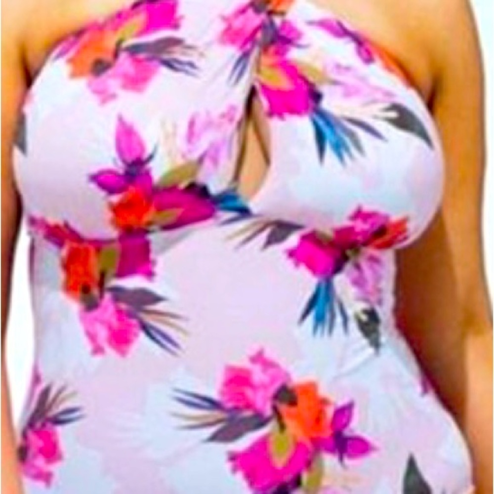 Size 18 Ashley Graham swimsuit
